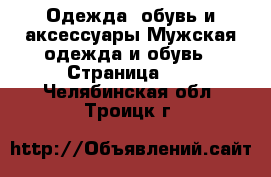 Одежда, обувь и аксессуары Мужская одежда и обувь - Страница 10 . Челябинская обл.,Троицк г.